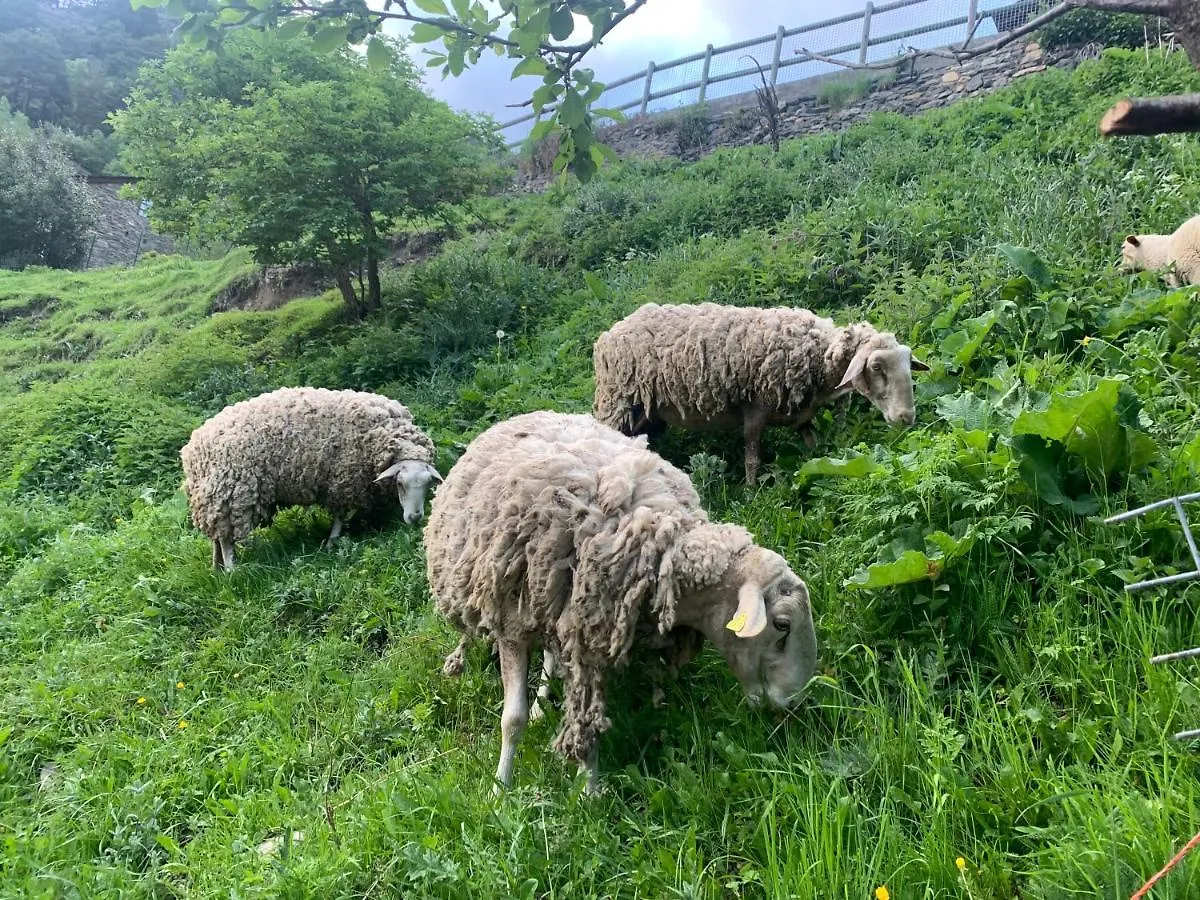 Meligar - G21 Deusol - Estudio - Vall D'Incles - Soldeu Apartman